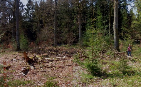MurmannGribskov