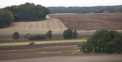 PederStorup_landbrug