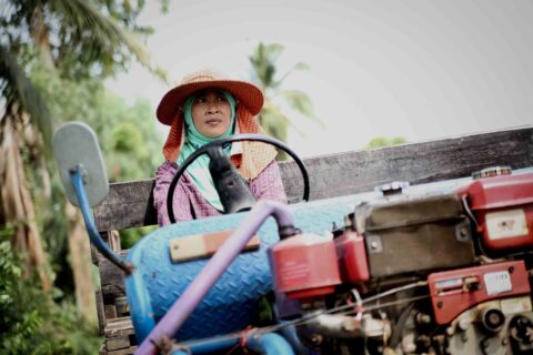 Women Land Rights in Phetchabun Province