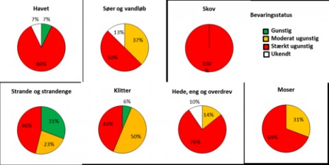 NaturiDK