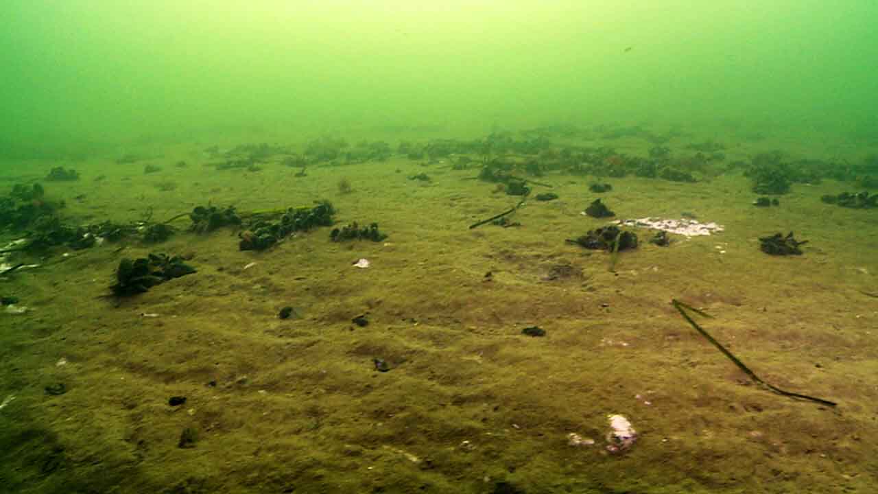 Danske fjorde lider stadig under fortidens forurening | Gylle.dk