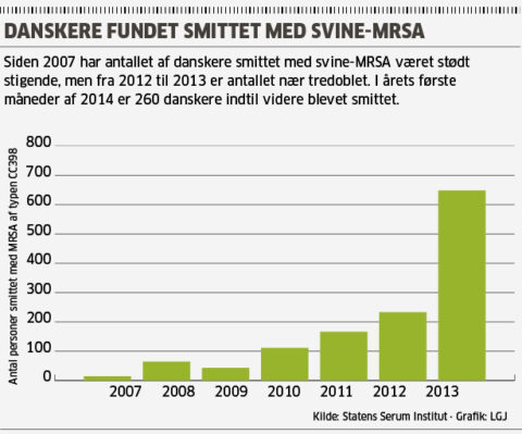 svine-mrsa-graf-01