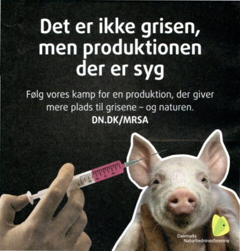 DN_MRSA001