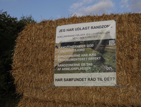 Randzone_protest1