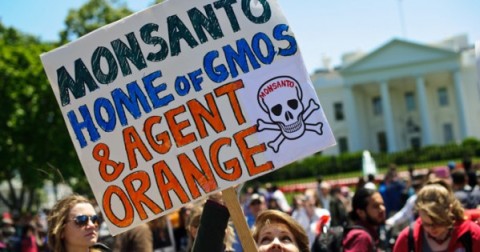 RoundUp_protest