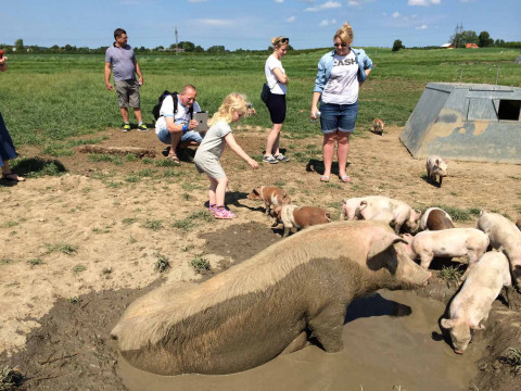 Sosafari_mudderbad2014