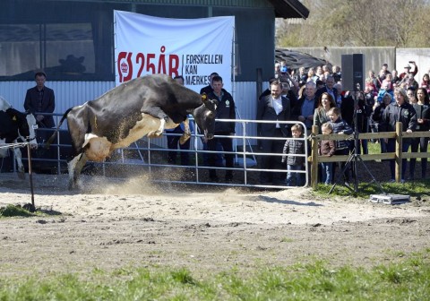 Økodag-2015-oekologisk-Landsforening-foto-UffeKjaer-4-1-