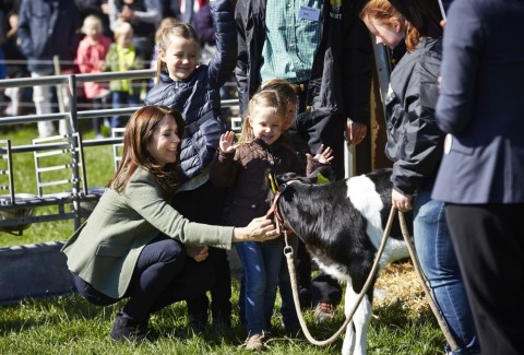 Økodag-2015-Økologisk-landsforening-foto-RasmusBluhme-23-
