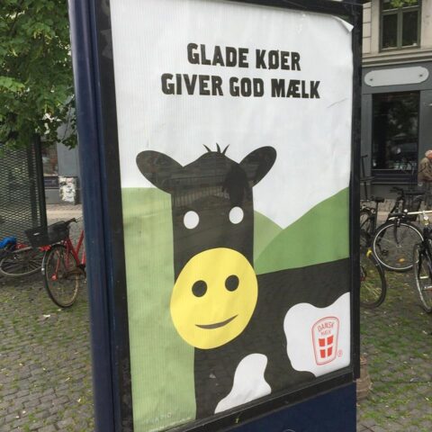 GladKo