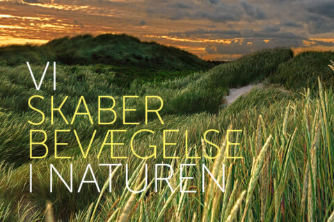Slogan6