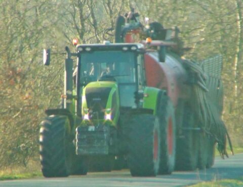 Gyllespreder_massiv