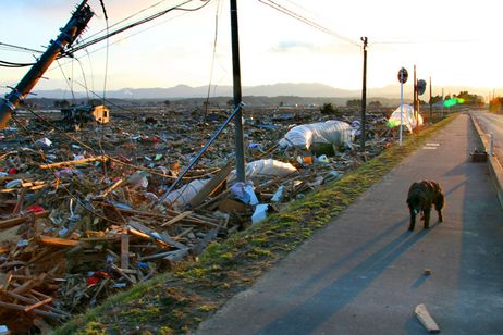Fukushima_wastland