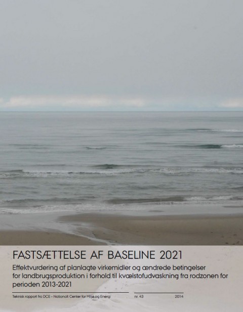 Baseline2021_forside