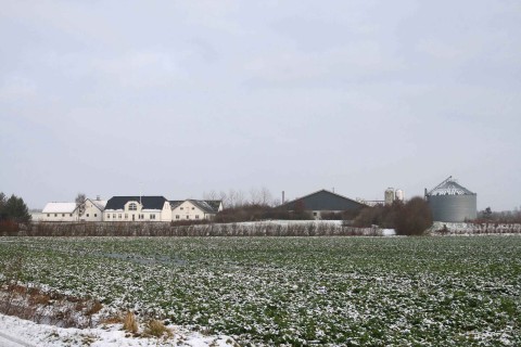 Gyllelandbrug