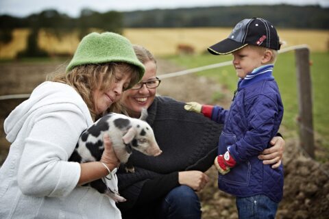 Økologisk_Høstmarked_Barritskov_Aarstiderne_2012 (135)