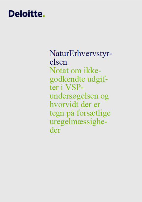 Deloitte_Forside