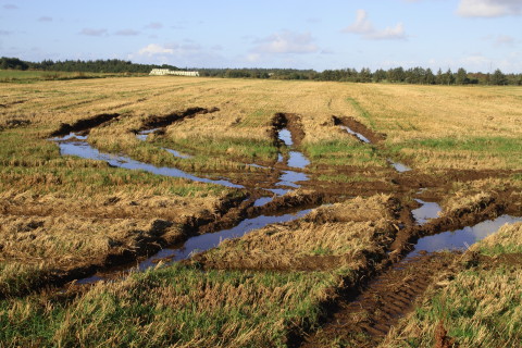 Vådemarker