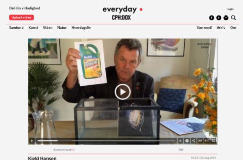 eveyrday2