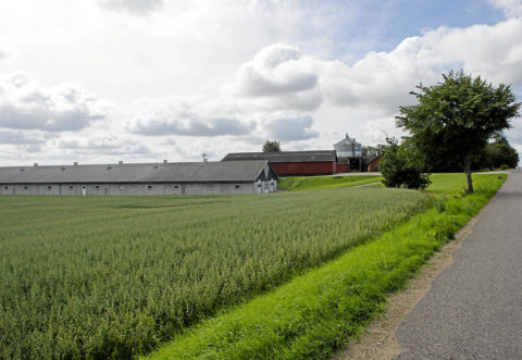 Bukkerupgård nu
