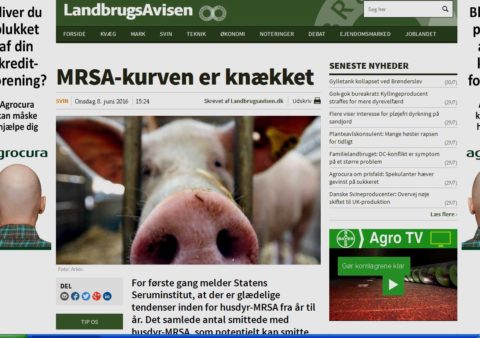 MRSA_kurven