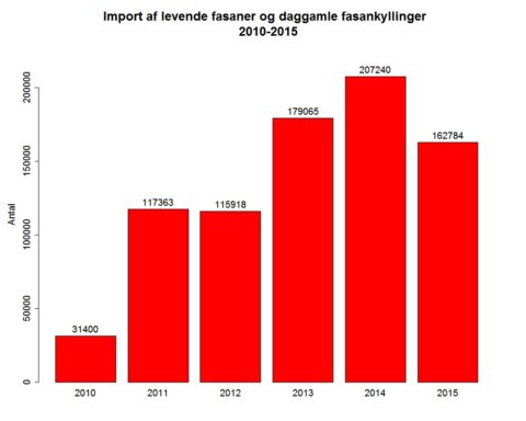 levende-fasaner-og-daggamle-kyllinger-2010-2015