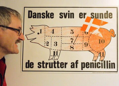 mikael_witte_og_penicilin-grisen