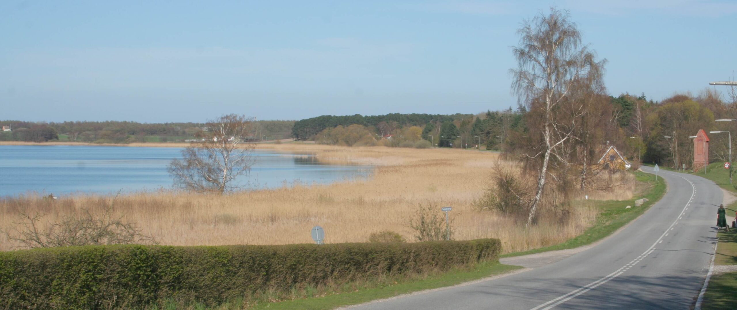 Forureningen af Danmarks største sø er blevet værre | Gylle.dk